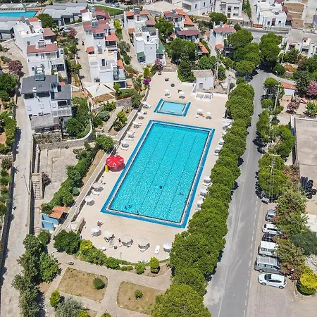 Hotel Seahorse *